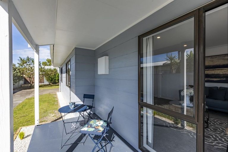 Photo of property in 19 Porritt Place, Waipukurau, 4200