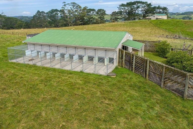 Photo of property in 88 Rapson Road, Kaukapakapa, 0871