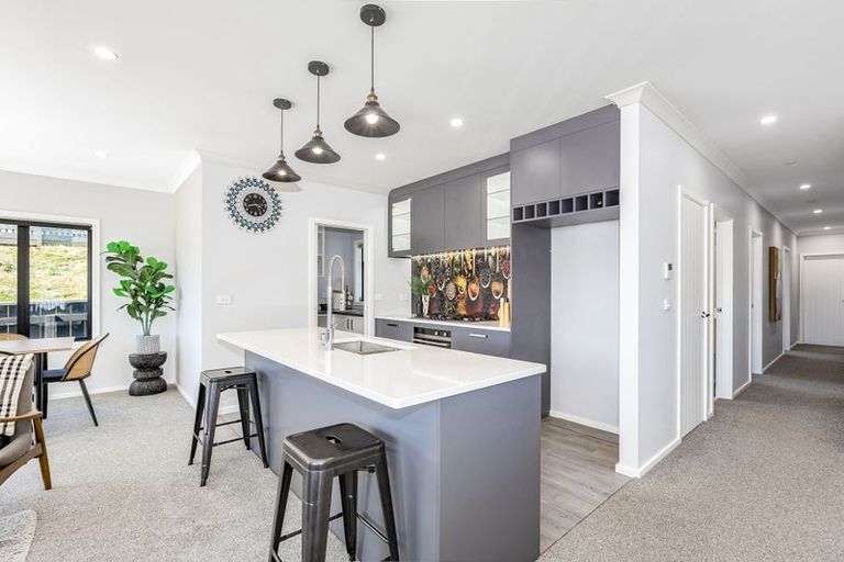 Photo of property in 117 John Burke Drive, Aotea, Porirua, 5024