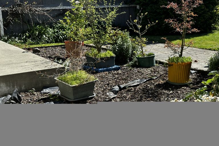 Photo of property in A2/213 Wai-iti Road, Highfield, Timaru, 7910