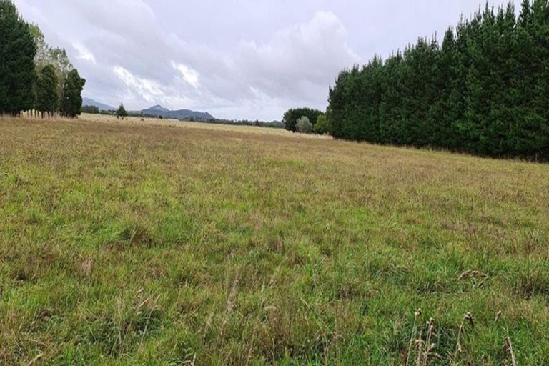 Photo of property in 131 Arapaepae Road South, Levin, 5571