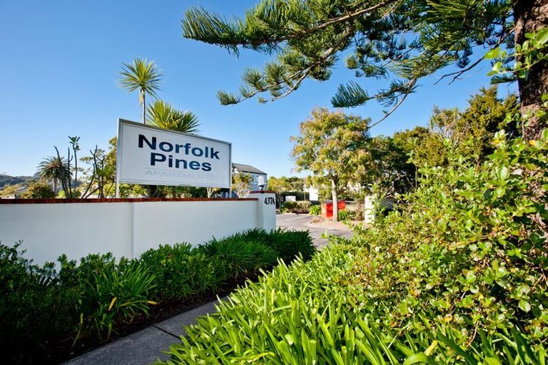 Photo of property in Norfolk Pines, 17/437b Albany Highway, Albany, Auckland, 0632