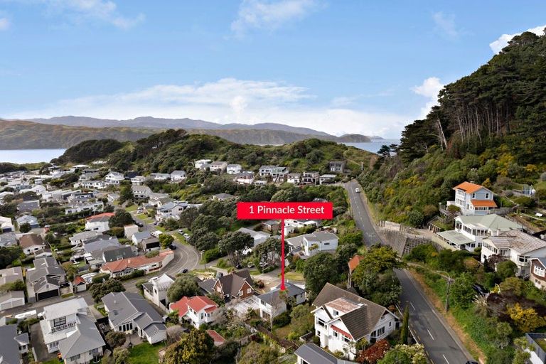 Photo of property in 1 Pinnacle Street, Seatoun, Wellington, 6022