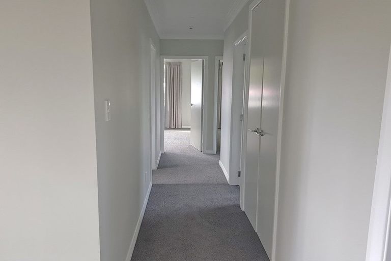 Photo of property in 98 Melbourne Road, Island Bay, Wellington, 6023