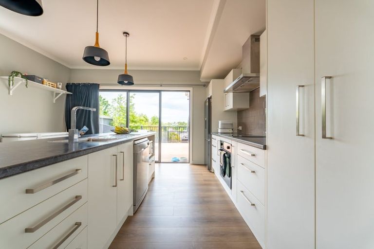 Photo of property in 55 Till Street, South Hill, Oamaru, 9400