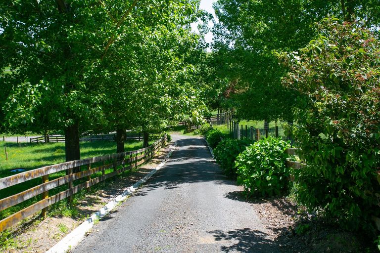 Photo of property in 32 Hetherington Road, Tirau, 3485