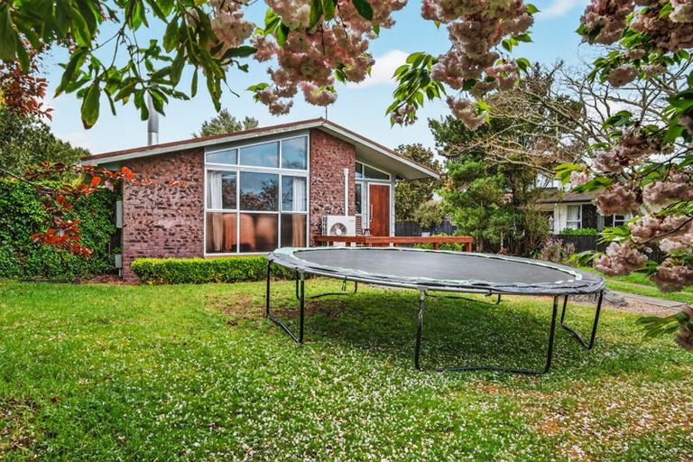 Photo of property in 84 Hinemoa Avenue, Taupo, 3330