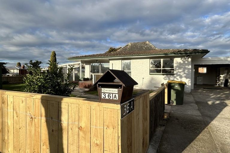 Photo of property in 36a Lancaster Street, Dinsdale, Hamilton, 3204