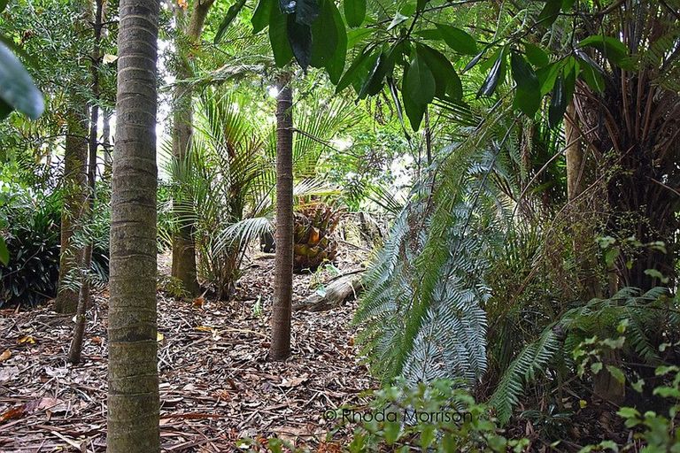 Photo of property in 45 Gorge Road, Maungaturoto, 0520