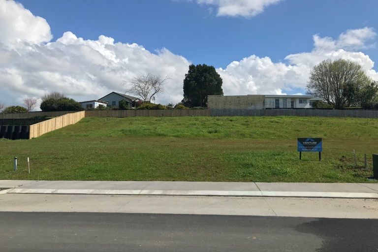 Photo of property in 17 Musselwhite Terrace, Chartwell, 3210