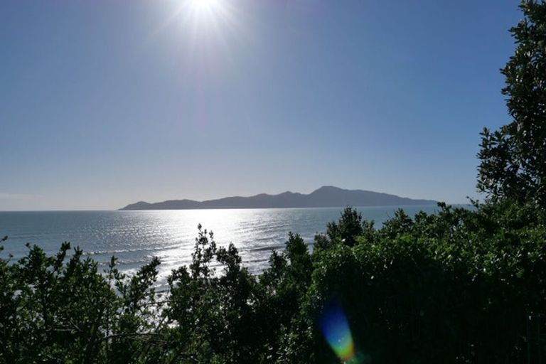 Photo of property in 105 Rosetta Road, Raumati South, Paraparaumu, 5032