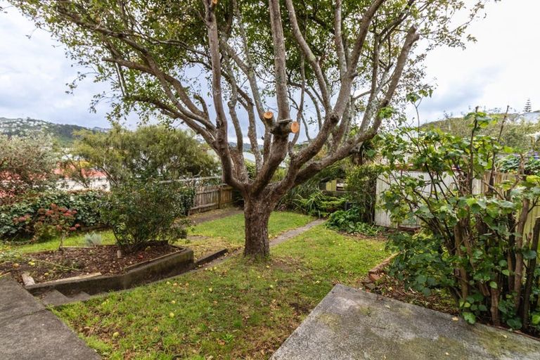 Photo of property in 3 Douro Avenue, Newtown, Wellington, 6021
