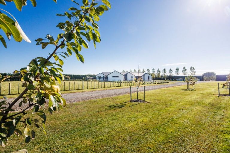 Photo of property in 79 Jackeytown Road, Tiakitahuna, Palmerston North, 4477