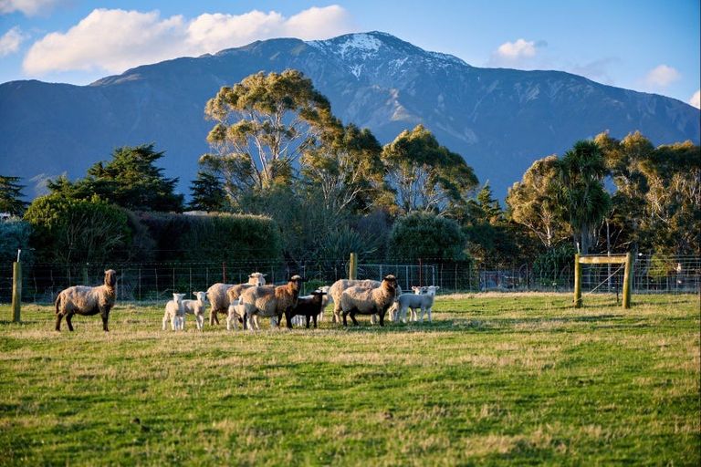 Photo of property in 399a Inland Road, Inland Road, Kaikoura, 7373