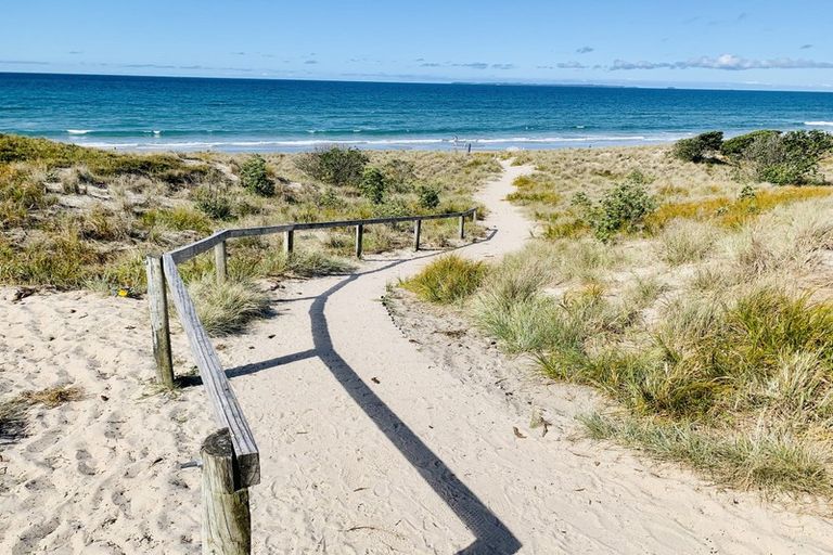 Photo of property in 44 Concord Avenue, Mount Maunganui, 3116