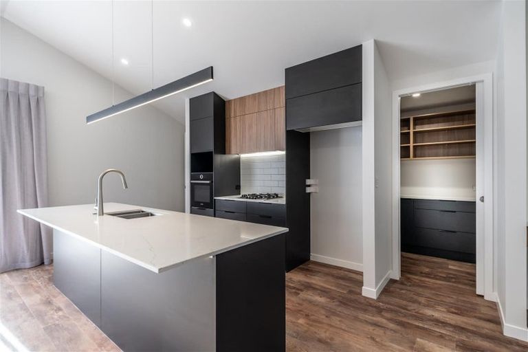 Photo of property in 22 Musselwhite Terrace, Chartwell, 3210