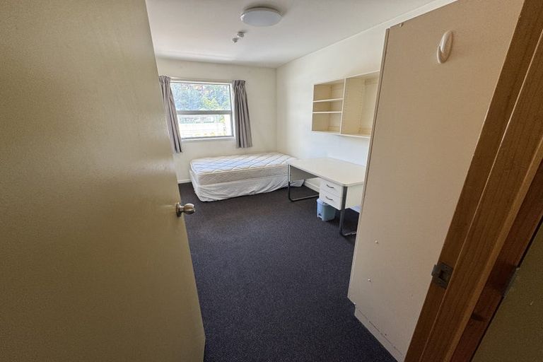 Photo of property in Drummond Street Flats, 16/19 Drummond Street, Mount Cook, Wellington, 6021