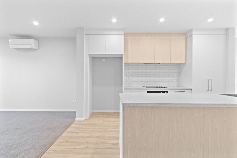 Photo of property in 65 Musselwhite Terrace, Chartwell, 3210