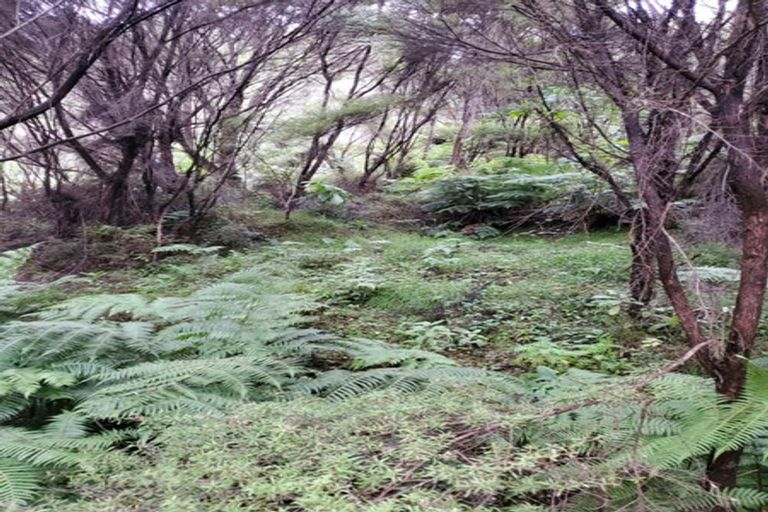 Photo of property in 482 Krippner Road, Puhoi, Warkworth, 0994