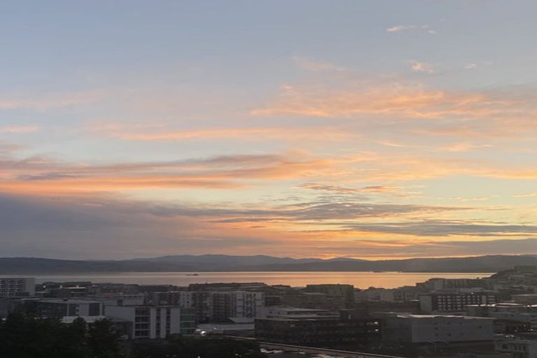 Photo of property in 53 Thompson Street, Mount Cook, Wellington, 6011