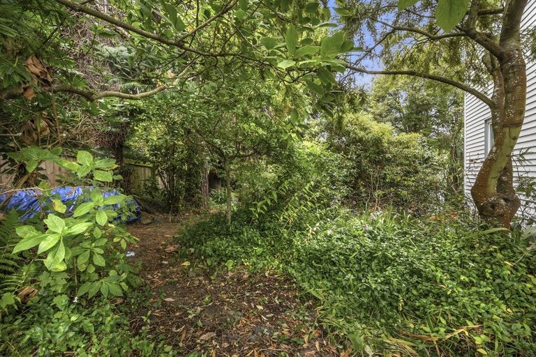 Photo of property in 15 Scotland Street, Dunedin Central, Dunedin, 9016