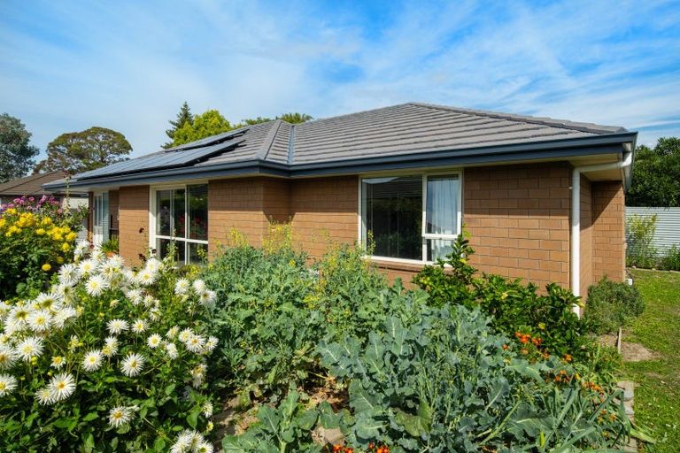 Photo of property in 63c Nelson Street, Springlands, Blenheim, 7201