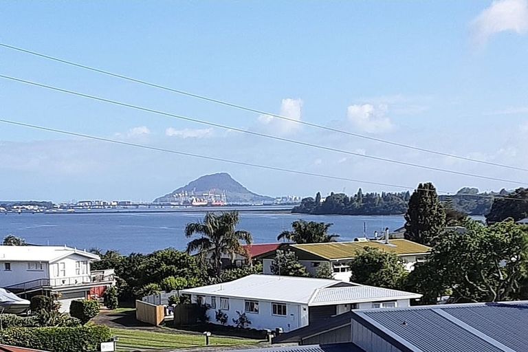 Photo of property in 361a Maungatapu Road, Maungatapu, Tauranga, 3112