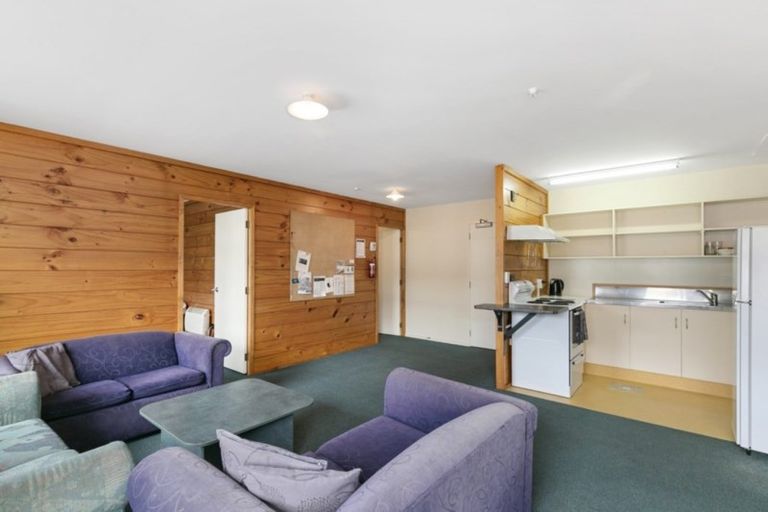 Photo of property in Te Awhina Apartments, 22u8 Sussex Street, Mount Cook, Wellington, 6021
