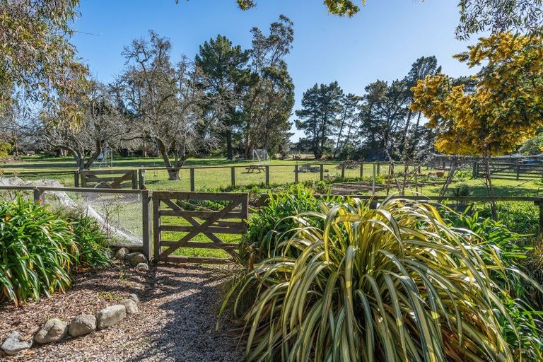 Photo of property in 328 Purchas Road, Glasnevin, Amberley, 7482