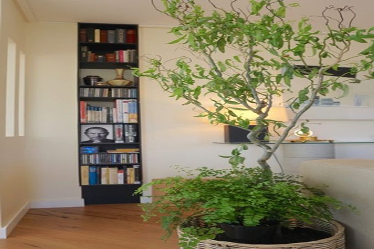 Photo of property in 33 Cassandra Street, Stratford, 4332