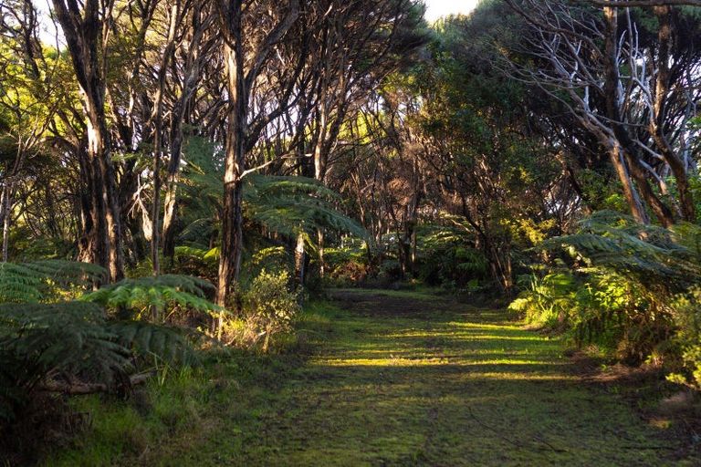 Photo of property in 886 Purerua Road, Te Ti Mangonui, Kerikeri, 0294