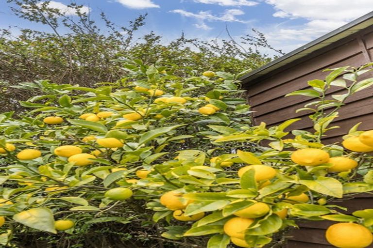 Photo of property in 63 Redwood Avenue, Tawa, Wellington, 5028