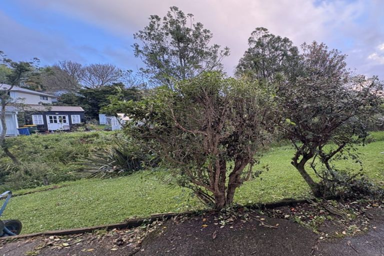 Photo of property in 8 Awaruku Road, Torbay, Auckland, 0630