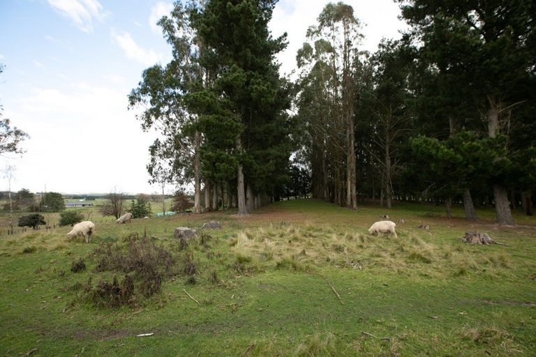 Photo of property in 17 Holt Place, Waipukurau, 4200