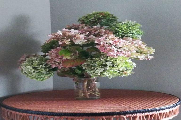 Photo of property in 1a Oriental Terrace, Oriental Bay, Wellington, 6011