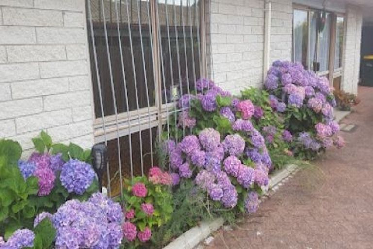 Photo of property in 63a Ranolf Street, Victoria, Rotorua, 3010