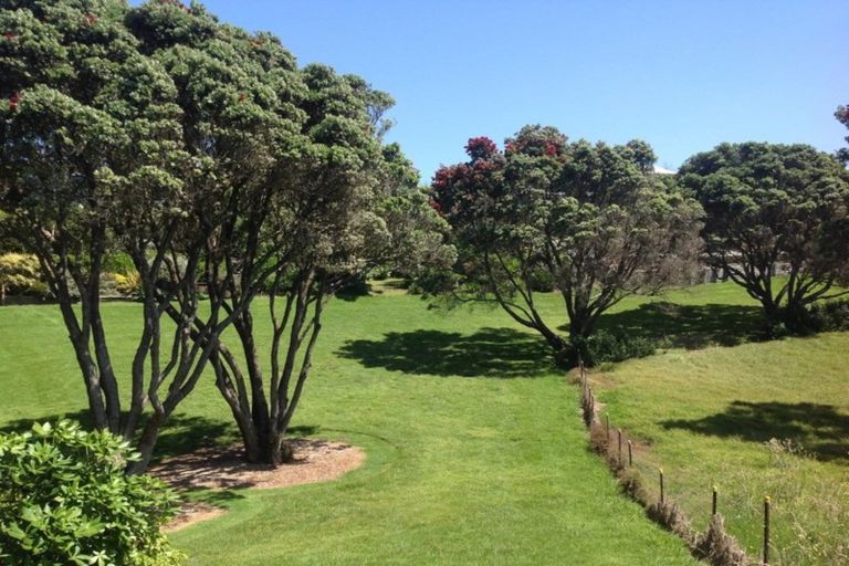 Photo of property in 25 Motukari Place, Onaero, Waitara, 4383