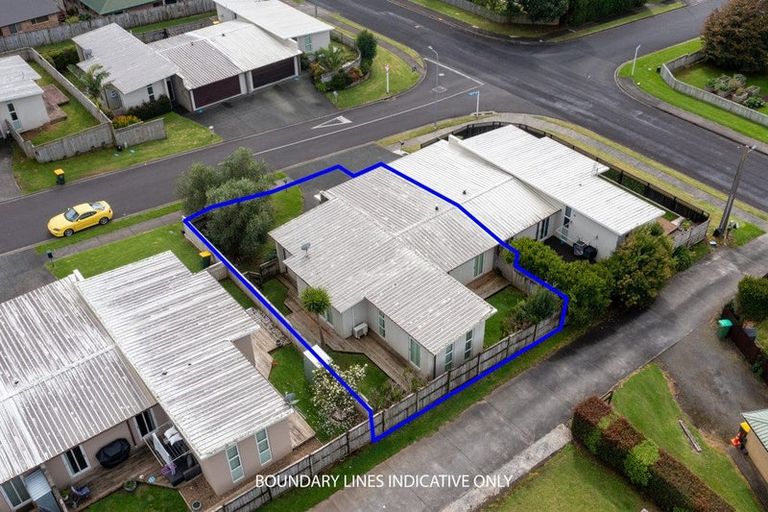 Photo of property in 3 Merlot Lane, Pukekohe, 2120