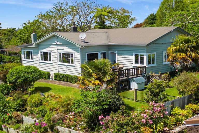 Photo of property in 50 Lee Street, Te Puke, 3119