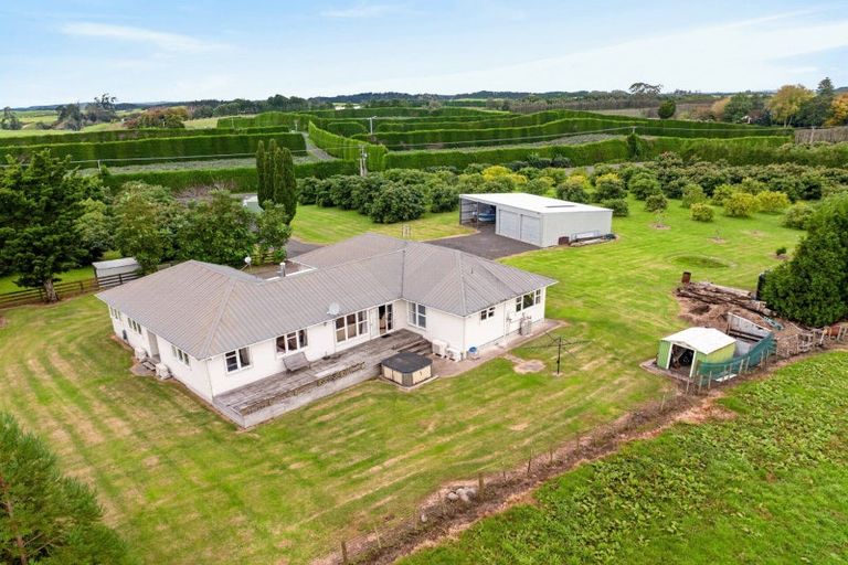 Photo of property in 536 Maniatutu Road, Pongakawa, Te Puke, 3186