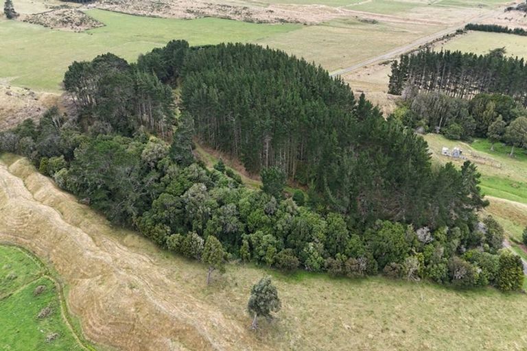 Photo of property in 171 Bainesse Road, Bainesse, Palmerston North, 4477