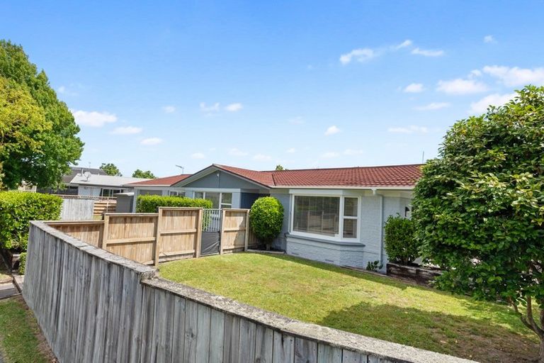 Photo of property in 19 Claremont Avenue, Chartwell, Hamilton, 3210