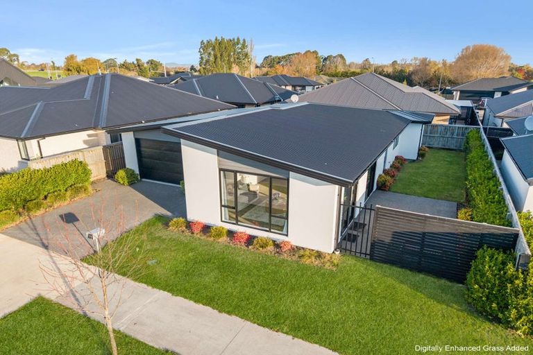 Photo of property in 19 Cleland Crescent, Kaiapoi, 7630