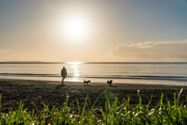 Photo of property in 1/7 Newstead Avenue, Browns Bay, Auckland, 0632