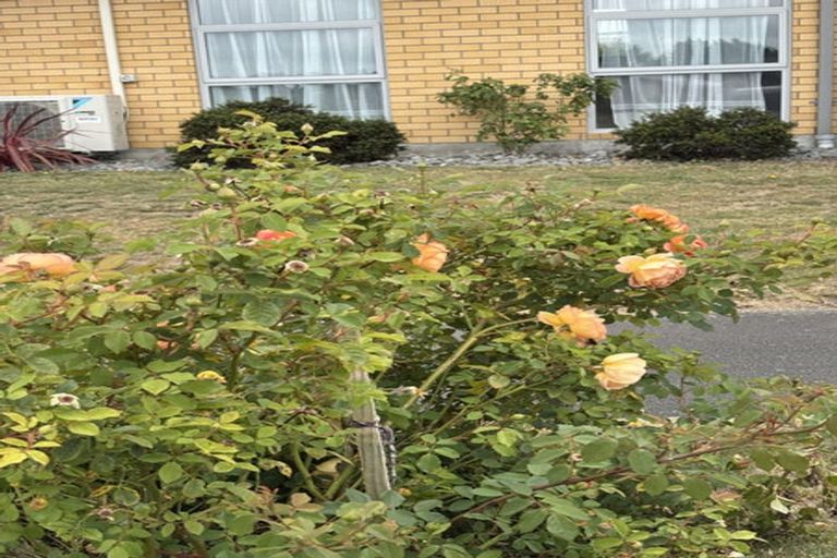 Photo of property in 51 Lamorna Road, Parklands, Christchurch, 8083