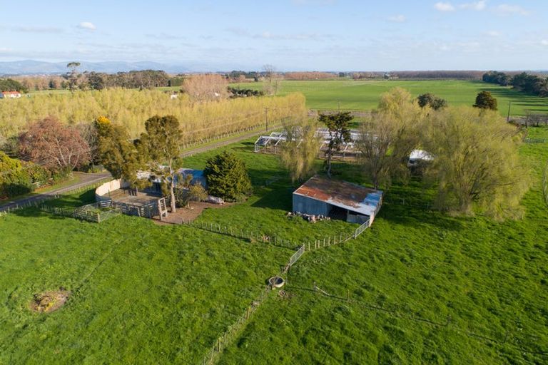 Photo of property in 582 Milson Line, Newbury, Palmerston North, 4478