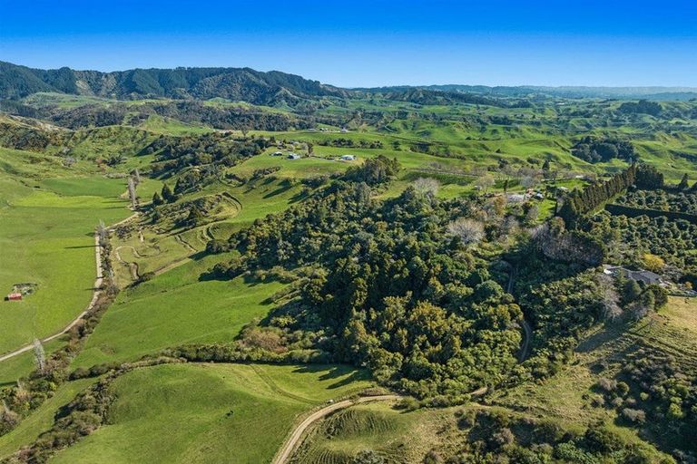 Photo of property in 681 Paerata Ridge Road, Waiotahe, Opotiki, 3198