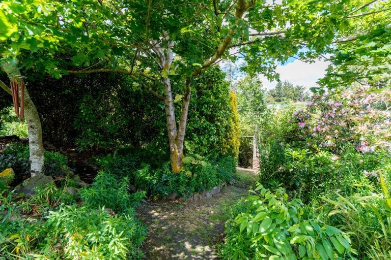 Photo of property in 31 Lake View Street, Waihola, Milton, 9073