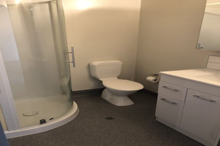 Photo of property in Dual Apartments, 301/142u Vivian Street, Te Aro, Wellington, 6011
