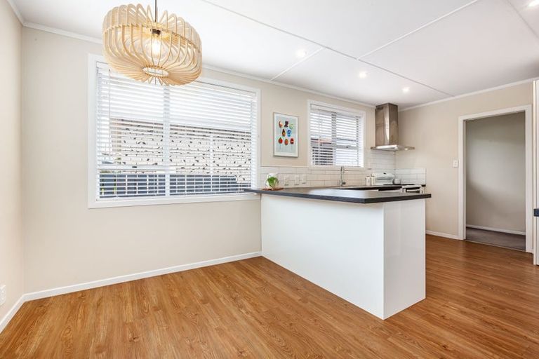 Photo of property in 58 Desert Gold Street, Ascot Park, Porirua, 5024